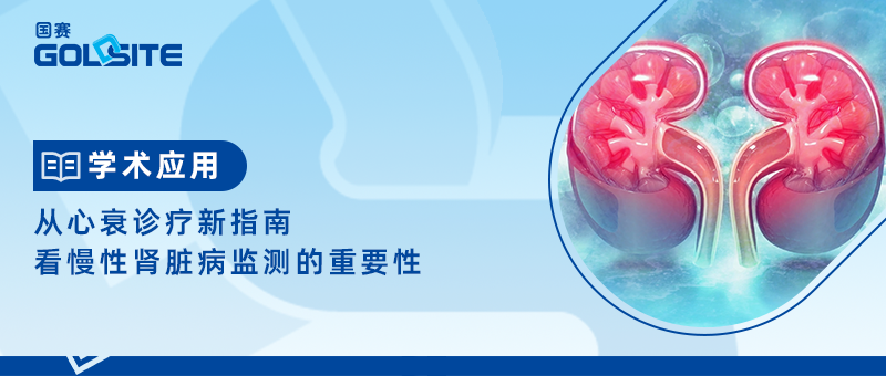 從心衰診療新指南看慢性腎臟病監(jiān)測的重要性