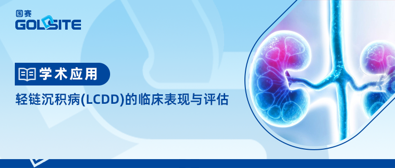 輕鏈沉積病(LCDD)的臨床表現(xiàn)與評估