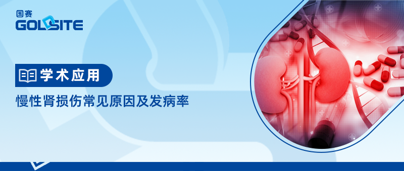 慢性腎損傷常見(jiàn)原因及發(fā)病率