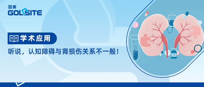 聽說，認(rèn)知障礙與腎損傷關(guān)系不一般！