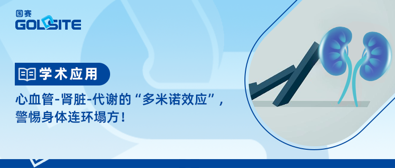 心血管-腎臟-代謝的“多米諾效應(yīng)”，警惕身體連環(huán)塌方！